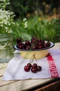 A bowl of cherries on a towel and picnic table. The bowl is white enamel on the inside and yellow on the outside. It is full of red cherries. The towel is wide with a red band on the right. In front of the bowl of cherries, also on the table, is five loose cherries. To the left of the bowl is a mason jar holding water and small white herb-like flowers on green stems. 