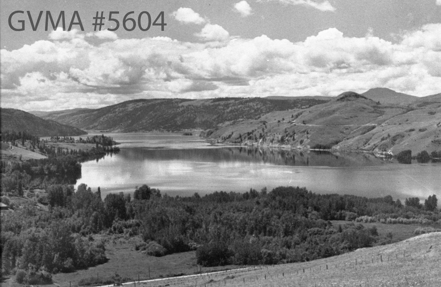 A black and white view over a lake. The lake stretched to the horizon. On the right is an exposed mountain with desert-like shrubbery. The left side is more lush with tall trees and shrubbery. The sky is dotted with puffy white clouds.