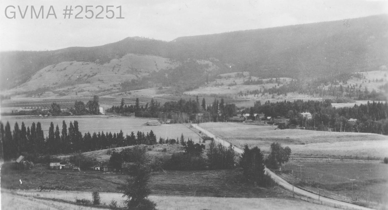 A black-and-white view over a field with mountain in the background.