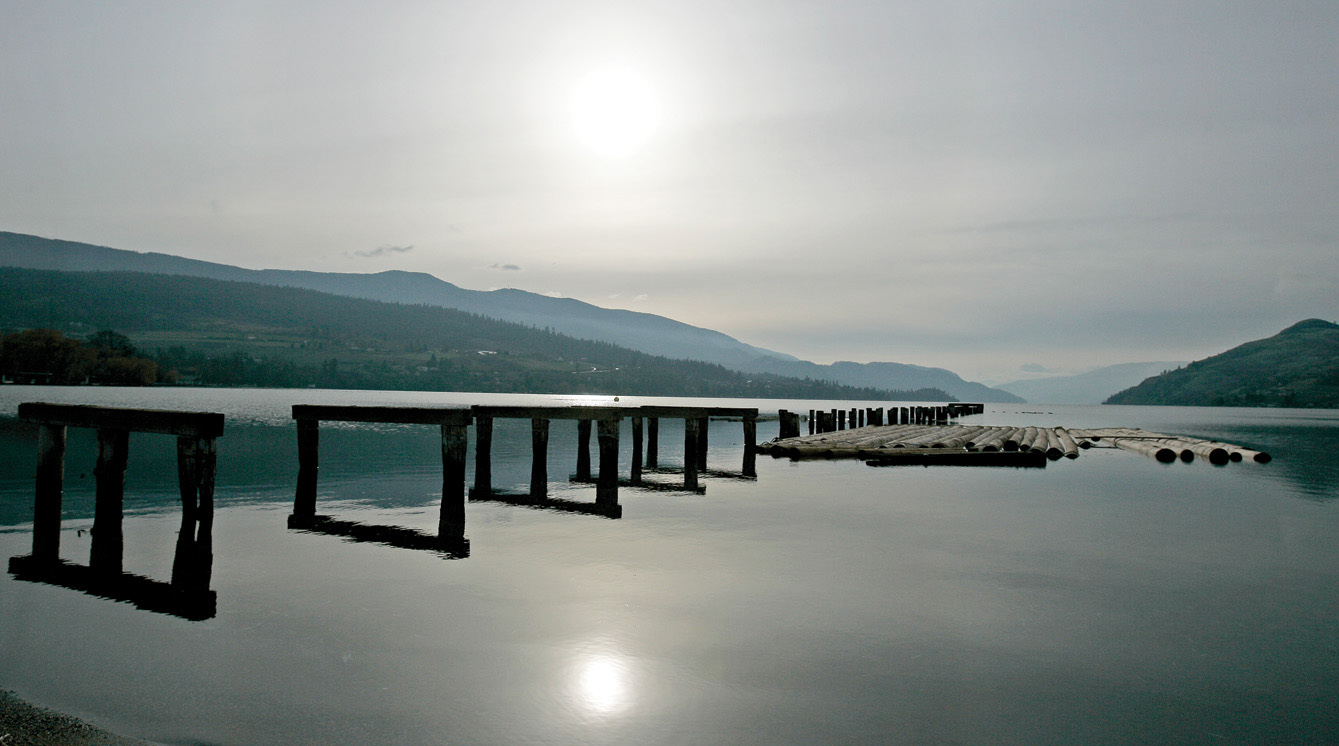 A colour image of a the pilling of a pier, with the board removed.