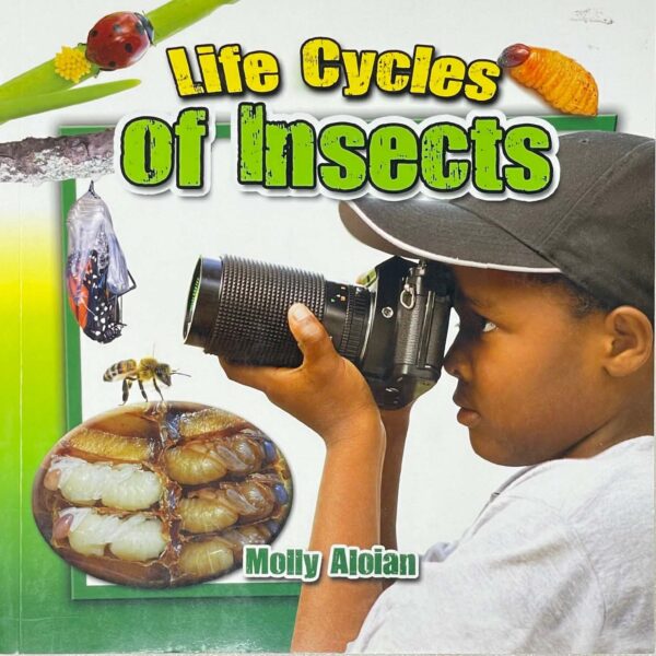 Insects Close-Up: Life Cycles of Insects