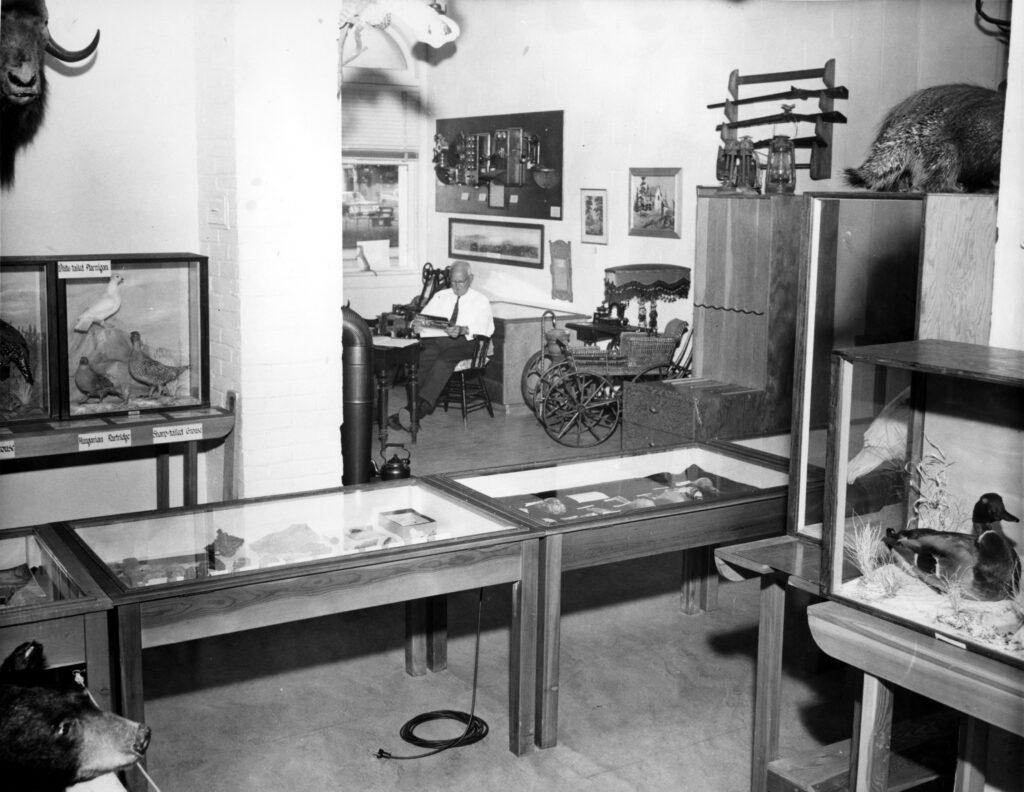 A room will display cases and mounted taxidermy specimens. A man sit reading in the far corner.